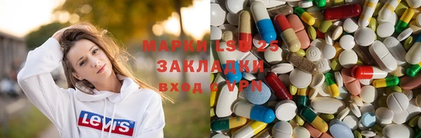индика Кулебаки