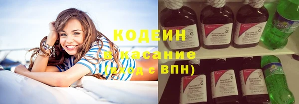 прущие грибы Куйбышев