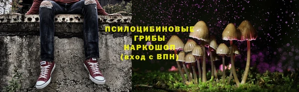 хмурый Алексеевка