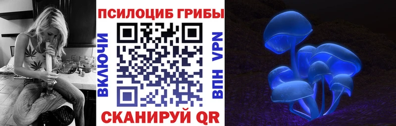 Псилоцибиновые грибы MAGIC MUSHROOMS  мега зеркало  Елец  купить наркотики сайты 